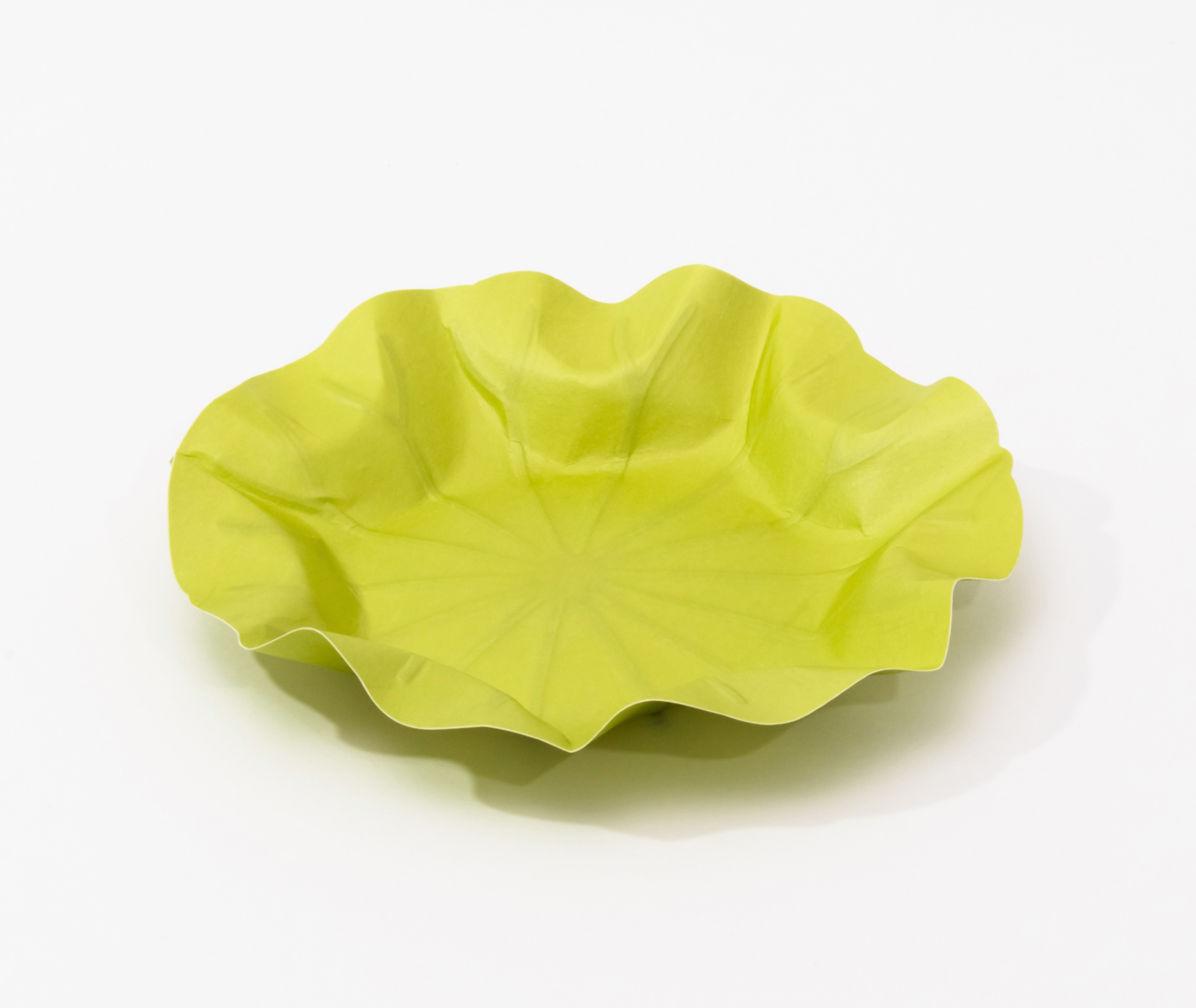 Hanji-tray-Lotus-leaf_S_G_05