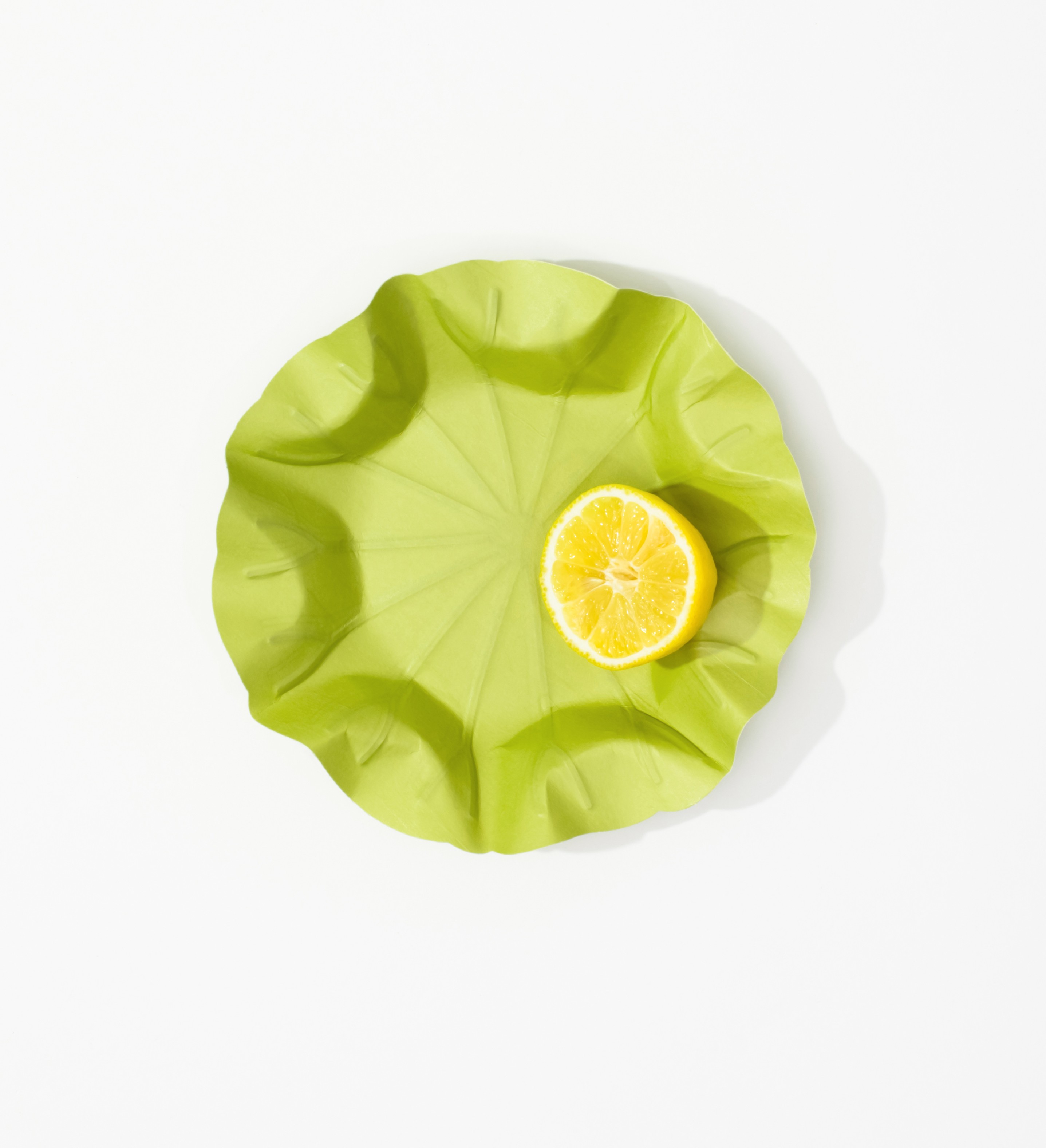 Hanji-tray-Lotus-leaf_S_G_01