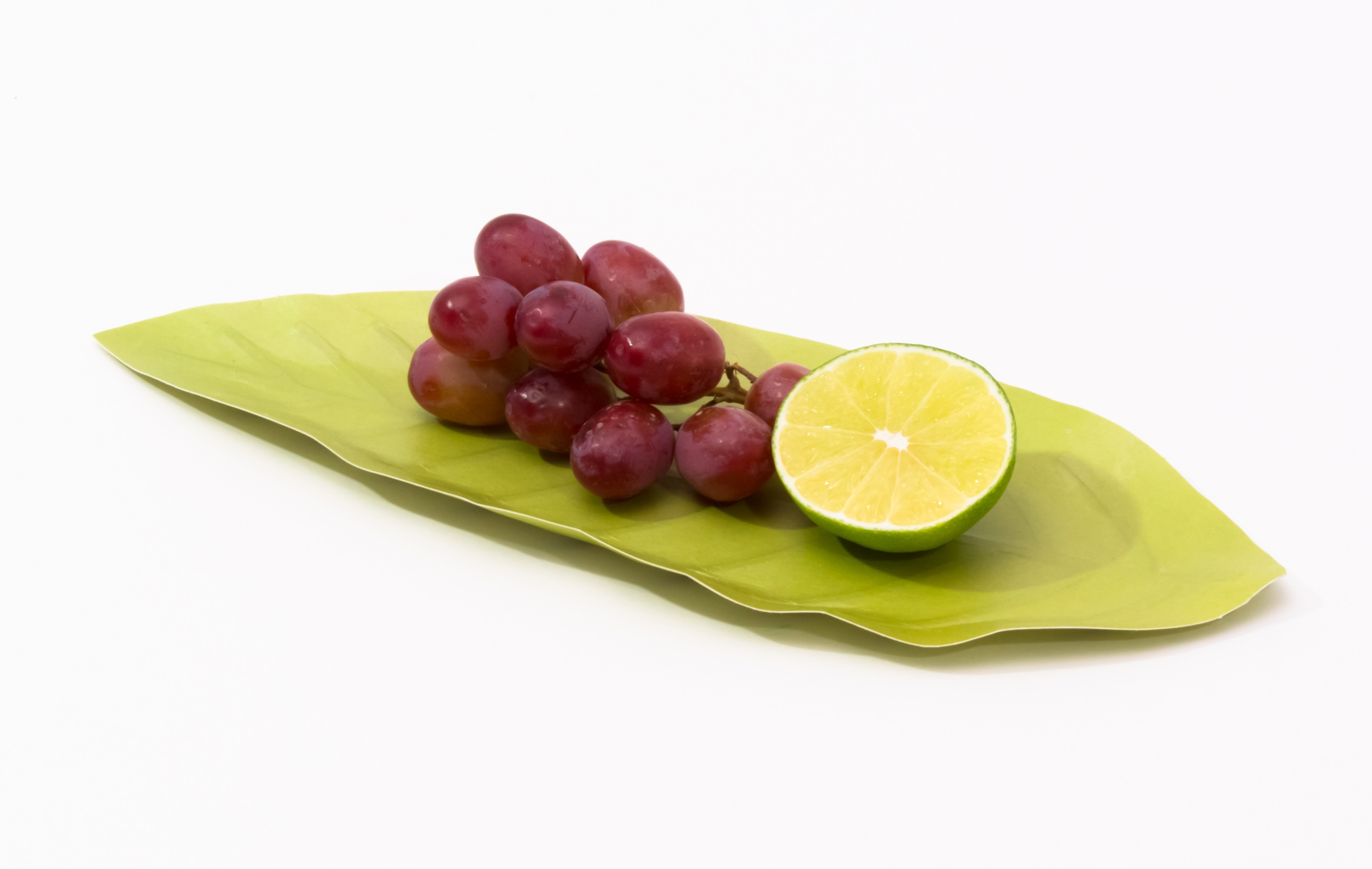 Hanji-tray-leaf_G_06