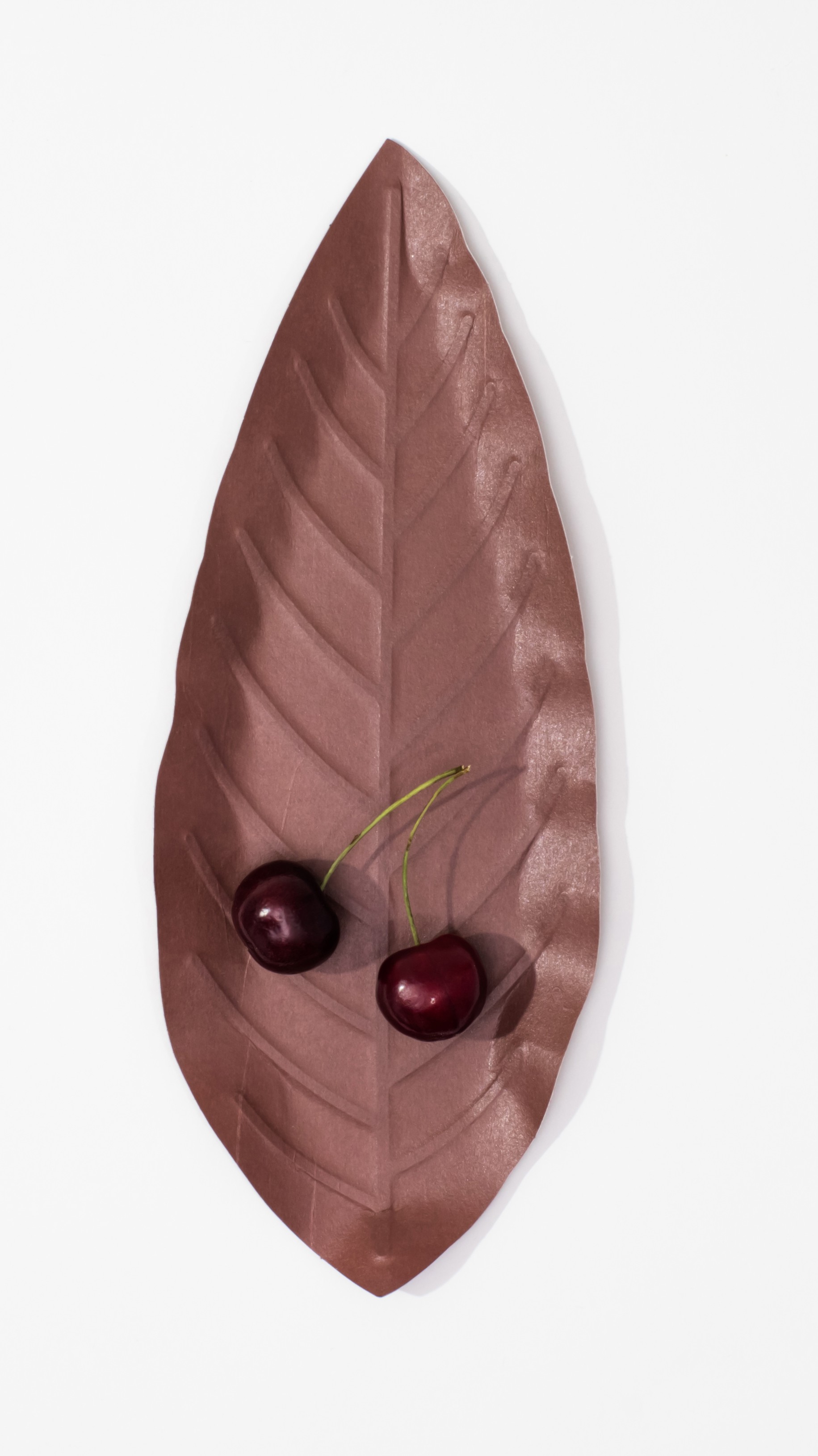 Hanji-tray-leaf_B_01