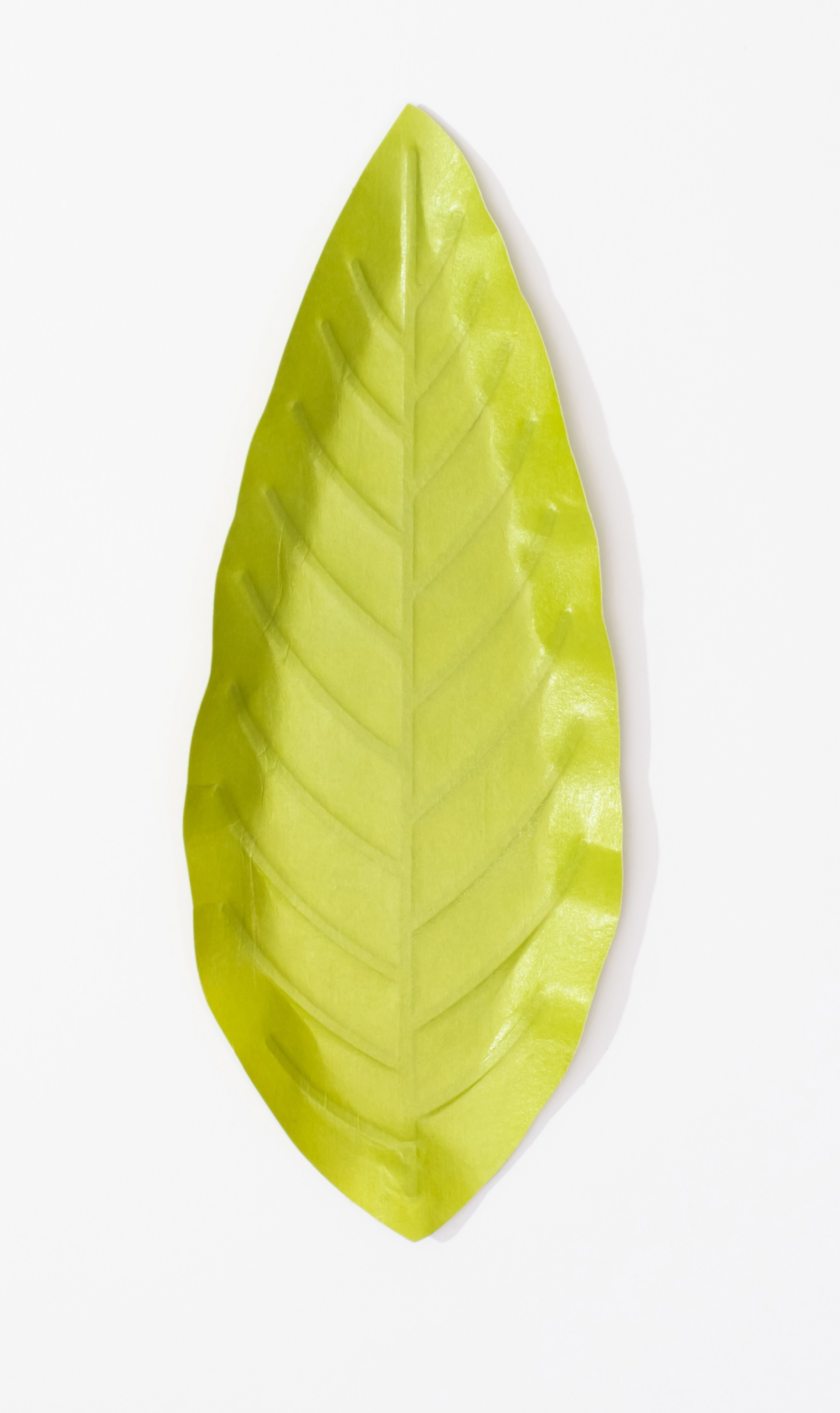 Hanji-tray-leaf_G_02